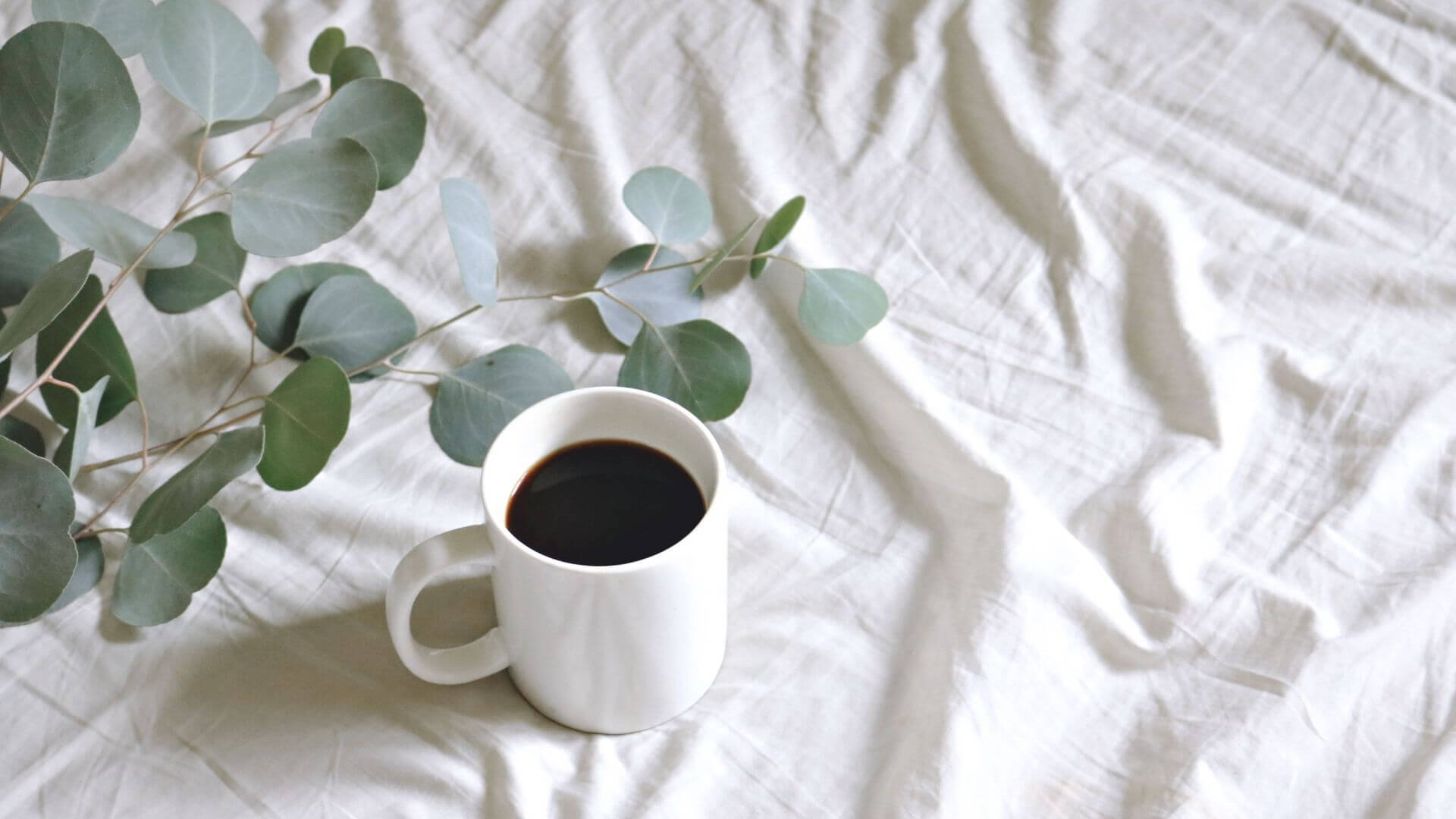 Kaffeetasse und Zweige Kaffeetasse und Zweige
